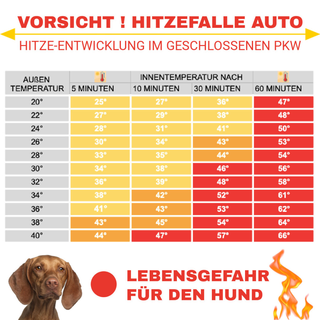 Alunet Schattennetz 3x4 m – Hitzeschutz für Auto, Mensch, Hund